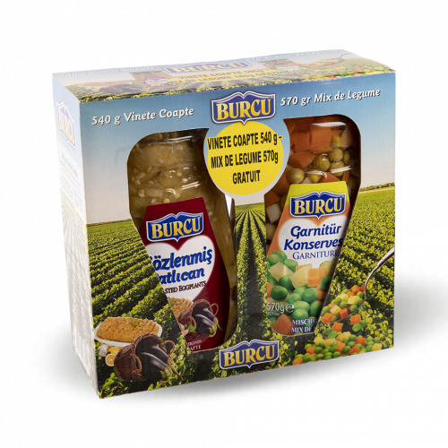 540gr Közlenmiş Patlıcan & 570gr Garnitür Konservesi